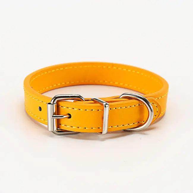 Stylish Leather Dog Collars in Vibrant Colors for Comfort - Estalios