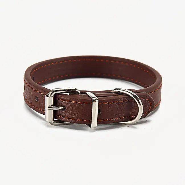 Stylish Leather Dog Collars in Vibrant Colors for Comfort - Estalios