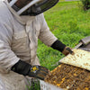 Beekeeper in protective suit.