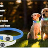 Illuminated dog collars.
