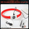 Red LED dog collar charging.