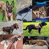 Unleash your Dog: Tan Tactical Dog Harness with Perfect Chest Girth! **product Description** Gear Up your Furry Friend with the Ultimate Tan Tactical - Estalios