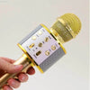 Wireless Karaoke Microphone for Fun Singing Anywhere - Estalios