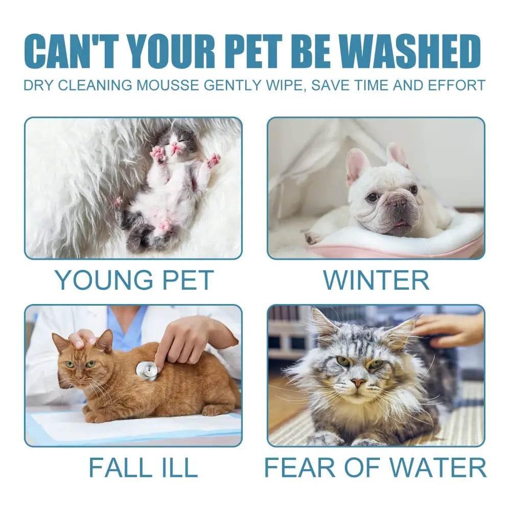 Yegbong Pet Dry Cleaning Mousse for Odor-Free Cats and Dogs - Estalios