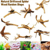 1PC Driftwood for Aquarium Natural Spider Wood Decor - Estalios