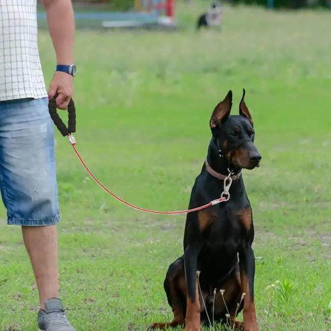 3 FT Chew Proof Dog Leash with No-Tangle Design - Estalios