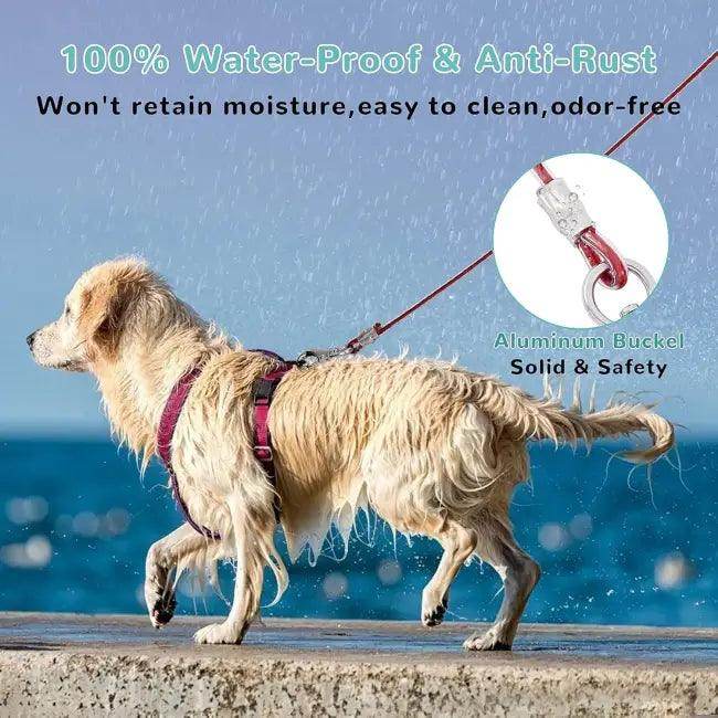 3 FT Chew Proof Dog Leash with No-Tangle Design - Estalios
