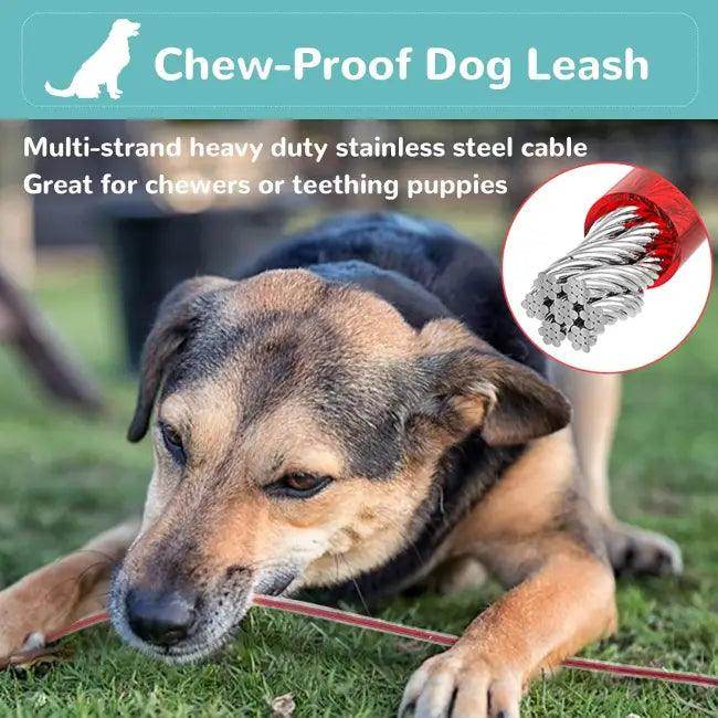 3 FT Chew Proof Dog Leash with No-Tangle Design - Estalios
