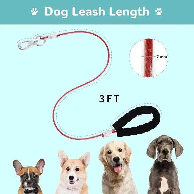 3 FT Chew Proof Dog Leash with No-Tangle Design - Estalios