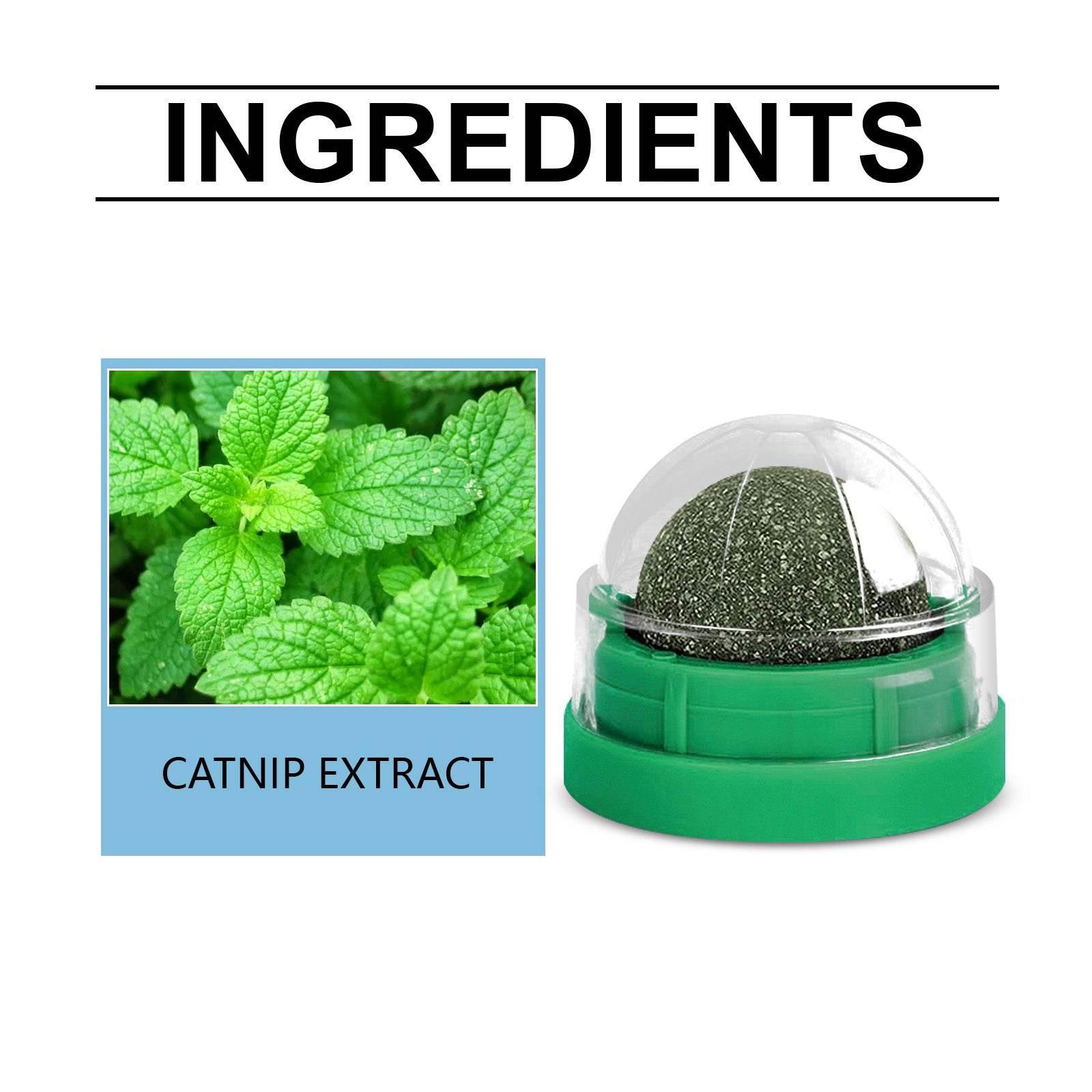 Mint-Flavored Rotating Cat Ball Toy Chew Toy for Dental Care - Estalios