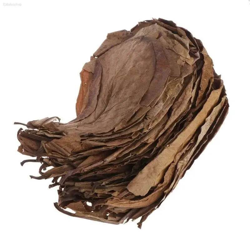 Unleash Aquarium Paradise with Natural Terminalia Catappa Leaves! Dive Into a World of Natural Wonder with our Premium Dried Leaves, Perfect for Transforming your Aquarium - Estalios