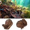 Unleash Aquarium Paradise with Natural Terminalia Catappa Leaves! Dive Into a World of Natural Wonder with our Premium Dried Leaves, Perfect for Transforming your Aquarium - Estalios