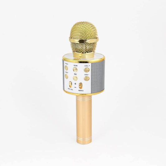Wireless Karaoke Microphone for Fun Singing Anywhere - Estalios