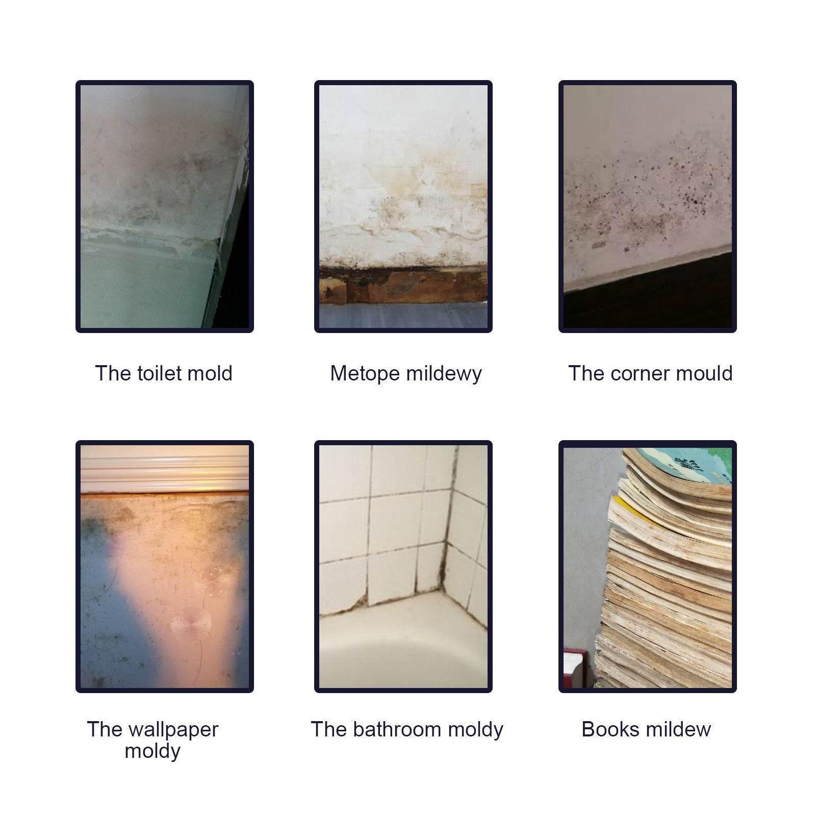 JAYSUING Mildew Removal Gel For Bathroom Kitchen Walls - Estalios