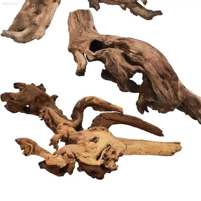 Assorted pieces of driftwood.
