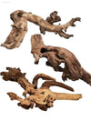 Three pieces of driftwood.