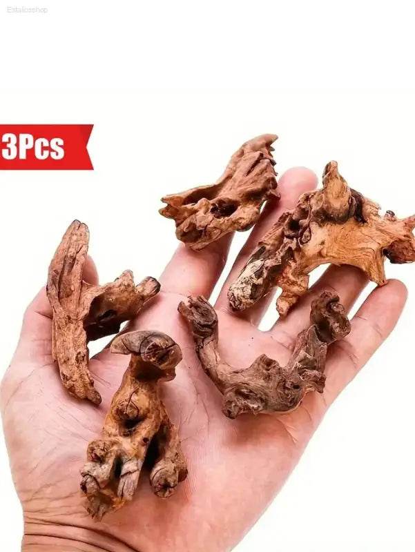 Five pieces of driftwood.