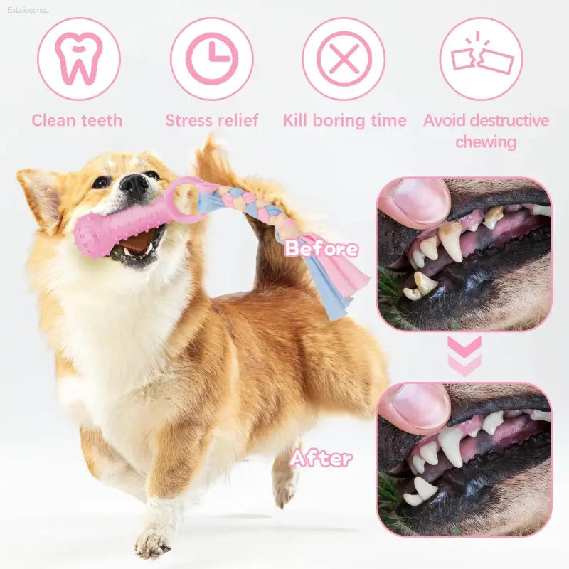5 Pack Puppy Chew Toys for Teething - Pink Rubber Squeaky Dog Toys, Interactive Plush Bone Toys for Small Dogs, Perfect for Dental Care - Estalios