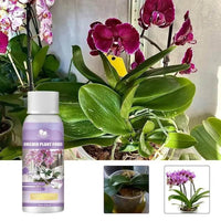 50ml Liquid Orchid Food for Vibrant Flower Growth - Estalios