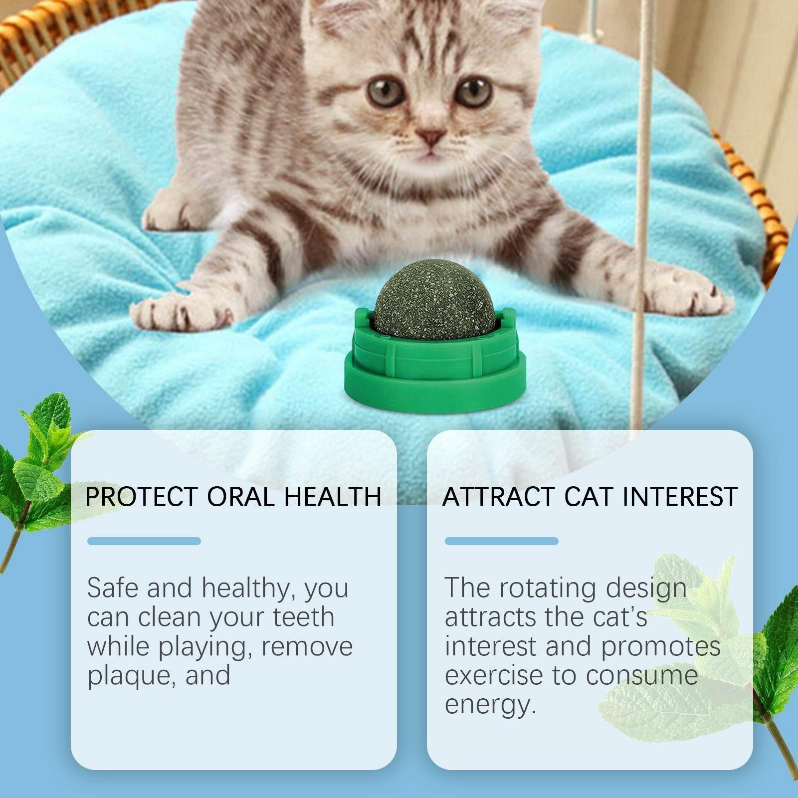 Mint-Flavored Rotating Cat Ball Toy Chew Toy for Dental Care - Estalios