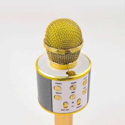 Wireless Karaoke Microphone for Fun Singing Anywhere - Estalios