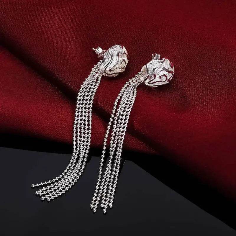Silver tassel earrings.