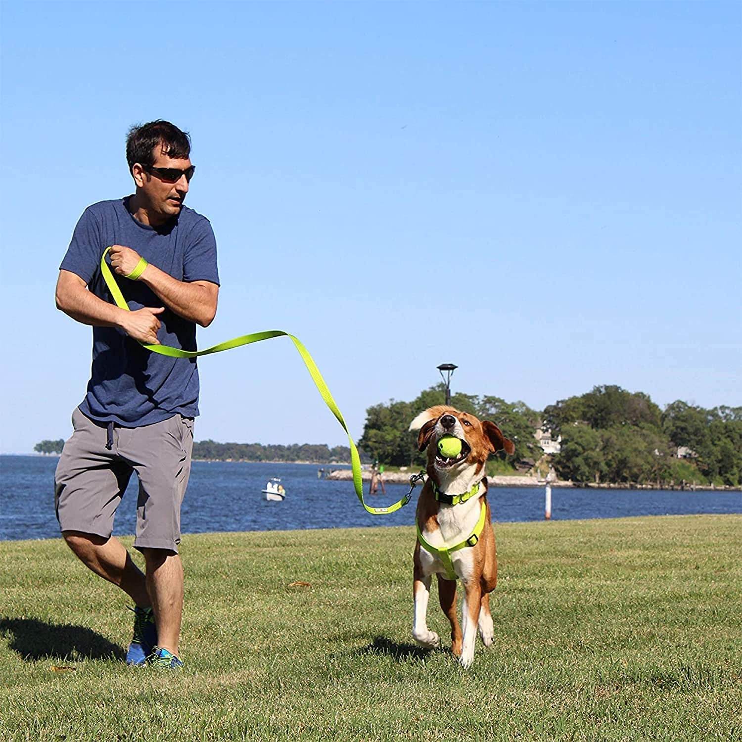 Heavy Duty Adjustable Dog Collar for Large Dogs - Green - Estalios