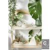 Rustic Garden Glow Shelf with Candles for Cozy Ambiance - Estalios