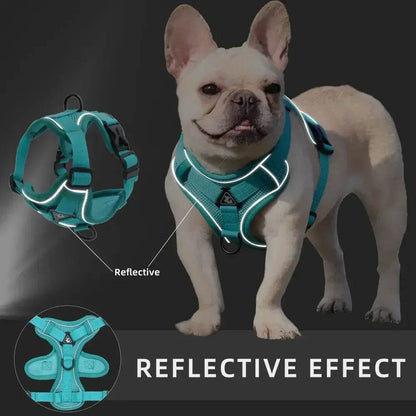 No Pull Dog Harness and Leash Set for Small Dogs Cats - Estalios