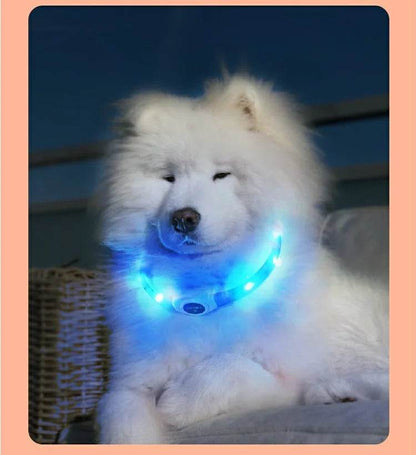 LED Luminous Dog Collar Waterproof USB Light for Night Safety - Estalios