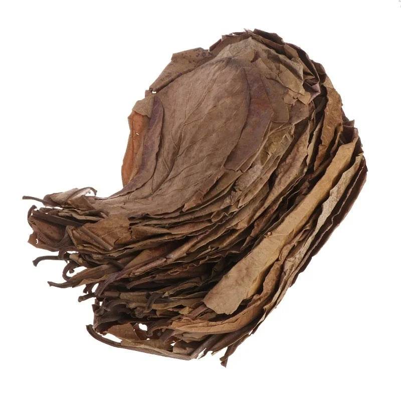 30PCS Natural Terminalia Catappa Leaves for Fish Tank Care - Estalios