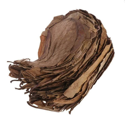 30PCS Natural Terminalia Catappa Leaves for Fish Tank Care - Estalios