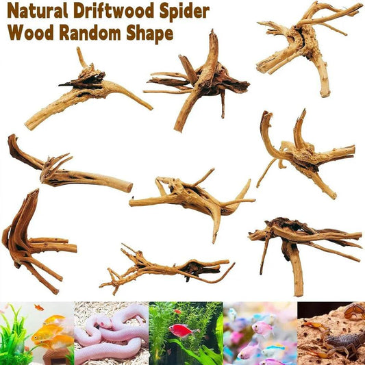 1PC Driftwood for Aquarium Natural Spider Wood Decor - Estalios