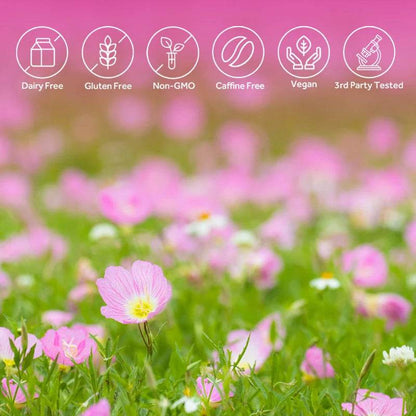 Evening Primrose Oil Supplement Capsules for Healthy Skin - Estalios