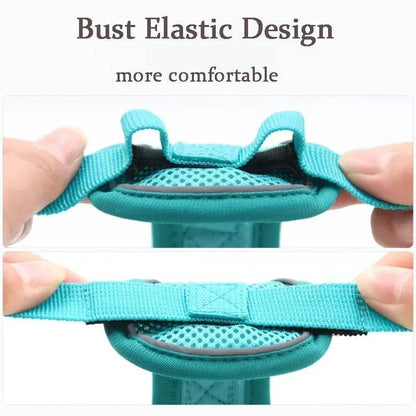 No Pull Dog Harness and Leash Set for Small Dogs Cats - Estalios