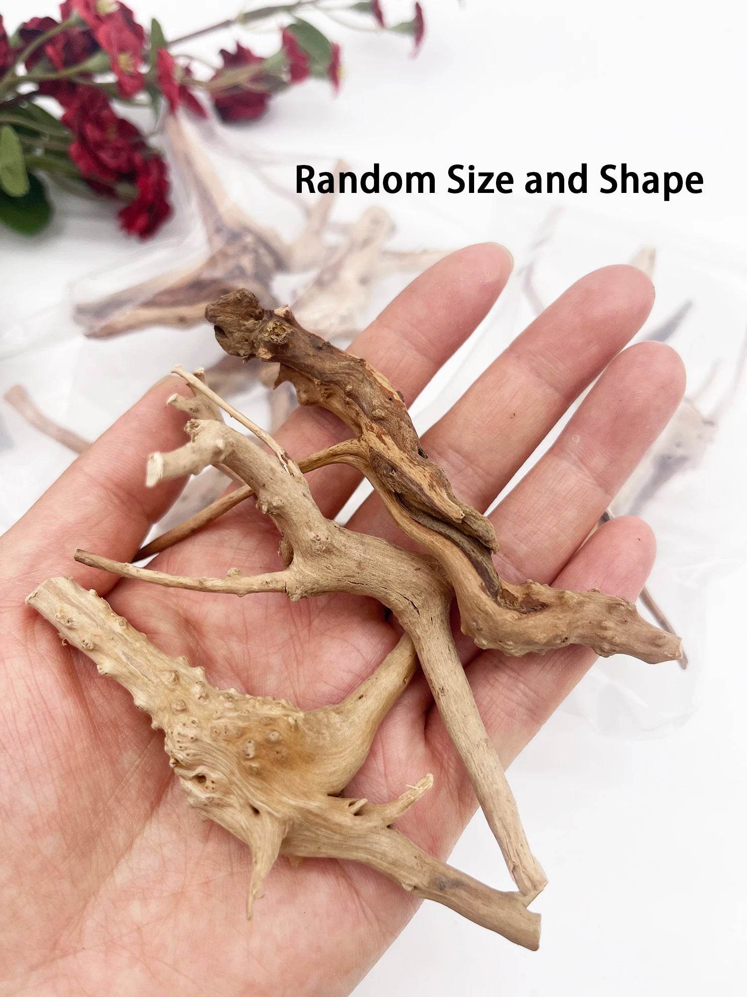 1/3pcs Spider Wood Driftwood Aquarium Decorations for Fish - Estalios
