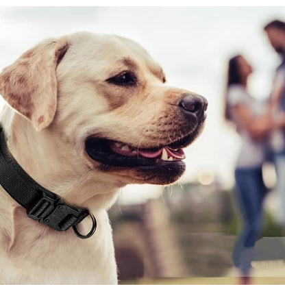 Tactical Dog Collar with Control Handle and Heavy Buckle