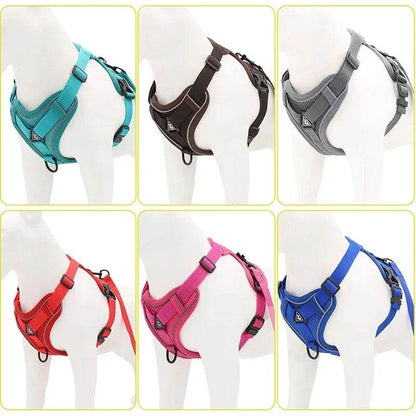 No Pull Dog Harness and Leash Set for Small Dogs Cats - Estalios