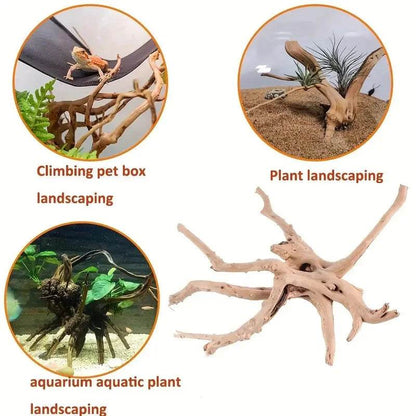 1/3pcs Spider Wood Driftwood Aquarium Decorations for Fish - Estalios