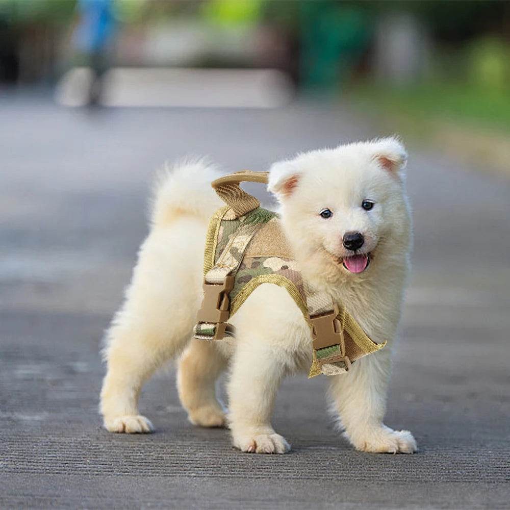 Tactical Puppy Harness Leash For Small Dogs Adjustable - Estalios