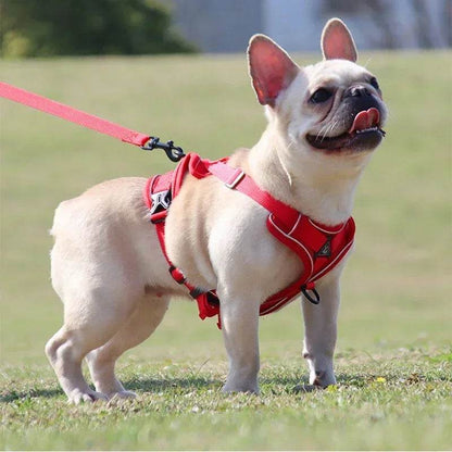 No Pull Dog Harness and Leash Set for Small Dogs Cats - Estalios