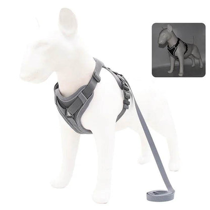 No Pull Dog Harness and Leash Set for Small Dogs Cats - Estalios