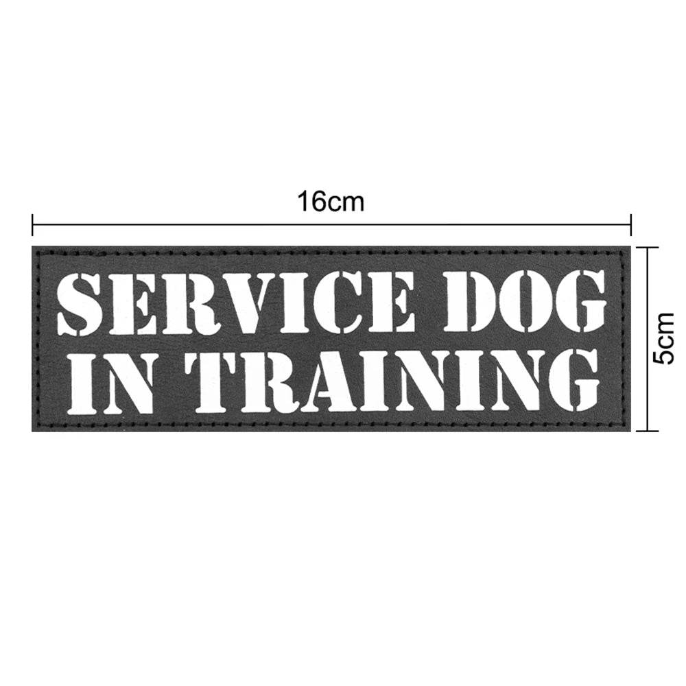 Military Large Dog Harness Leash for Tactical Training - Estalios