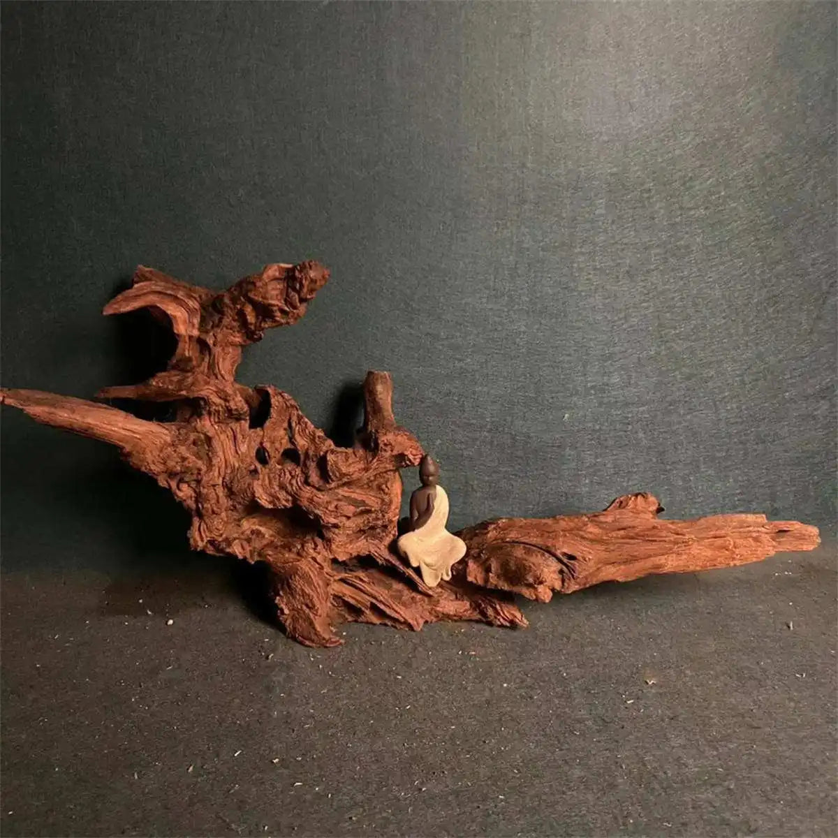 Madera flotante de coral natural para acuarios - Decoración de madera grande