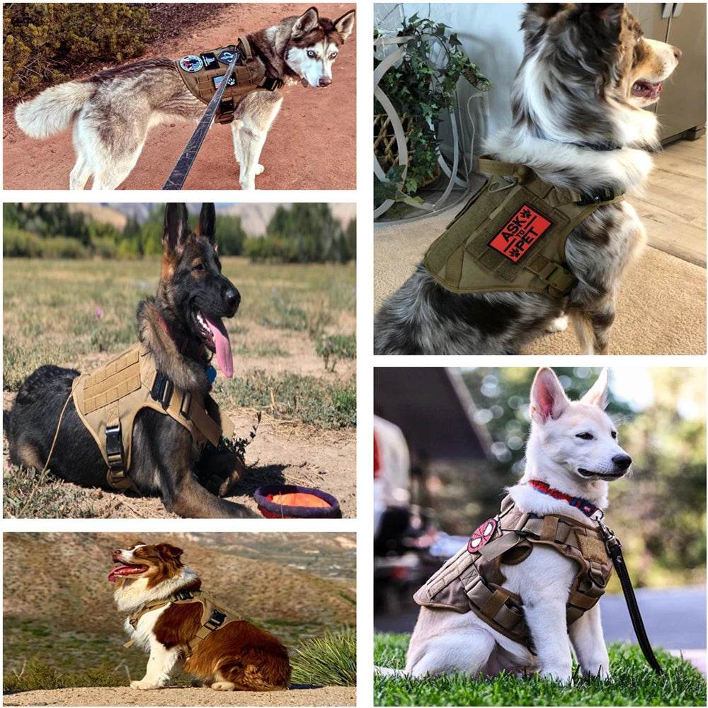 Military Large Dog Harness Leash for Tactical Training - Estalios