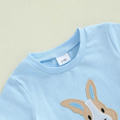 2024-11-25 Lioraitiin 0-3Y Toddler Baby Boy Easter Outfit Bunny/Cross Short Sleeve T-shirt Plaid Shorts 2pcs Summer Set - Estalios