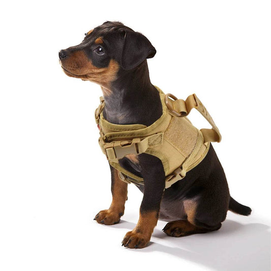 Tactical Puppy Harness Leash For Small Dogs Adjustable - Estalios