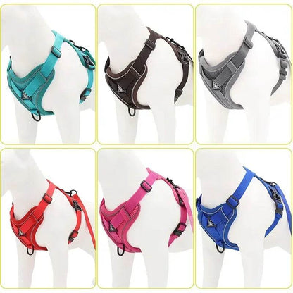 No Pull Dog Harness and Leash Set for Small Dogs Cats - Estalios