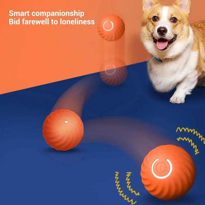 Dog Toy Ball Automatic Moving Interactive USB Chew Toy - Estalios