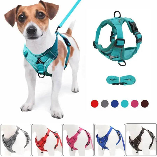 No Pull Dog Harness and Leash Set for Small Dogs Cats - Estalios